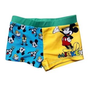 Costume Topolino